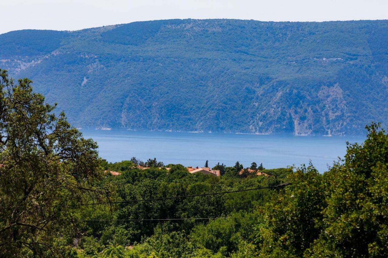 House - Villa Skyline Skrbčići Buitenkant foto